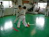 isiro (108)_samu.gif